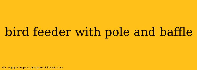 bird feeder with pole and baffle