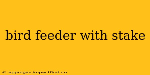 bird feeder with stake