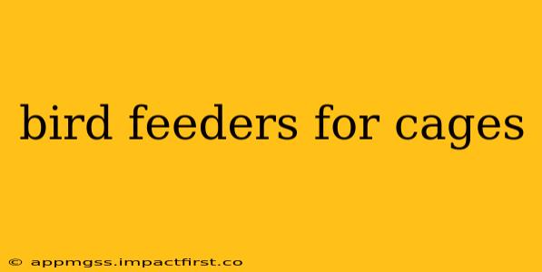 bird feeders for cages