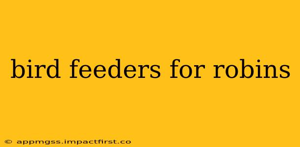 bird feeders for robins