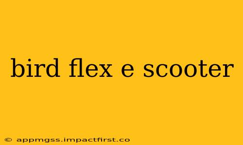 bird flex e scooter