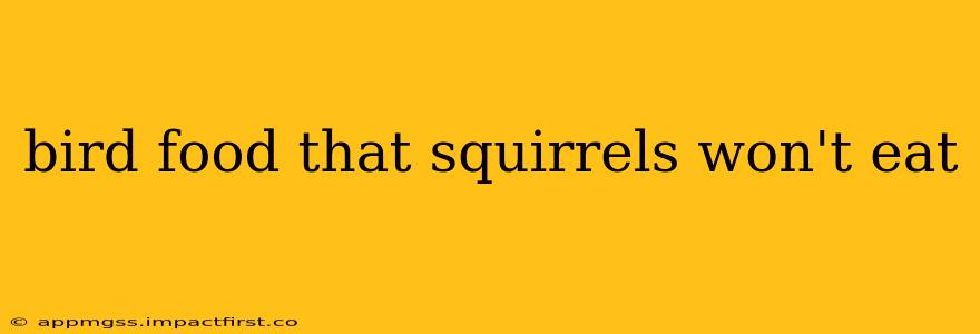 bird food that squirrels won't eat