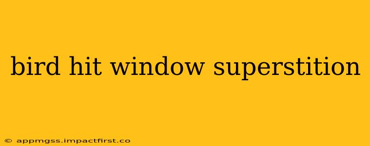 bird hit window superstition