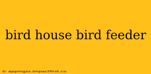 bird house bird feeder