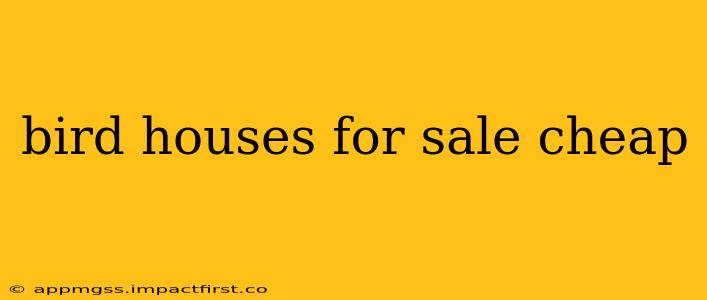 bird houses for sale cheap