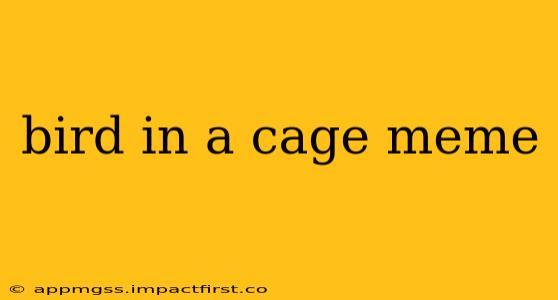 bird in a cage meme