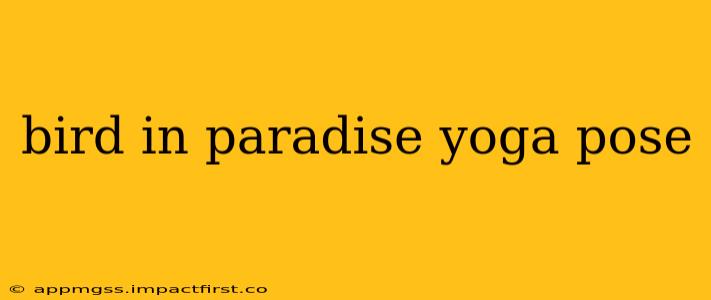 bird in paradise yoga pose