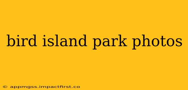 bird island park photos