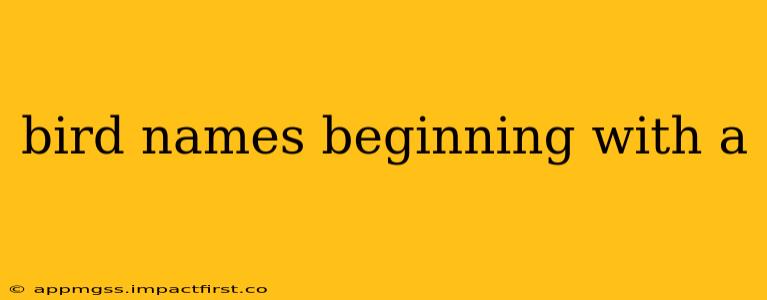 bird names beginning with a