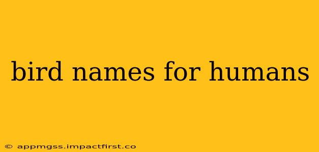 bird names for humans
