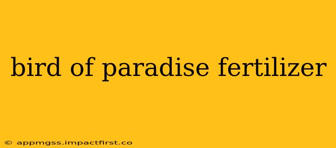 bird of paradise fertilizer