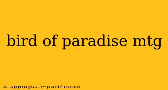bird of paradise mtg