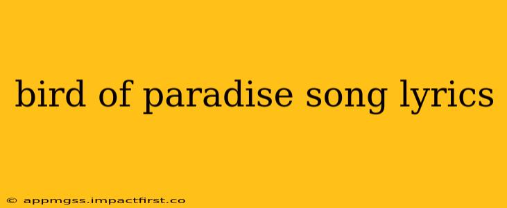 bird of paradise song lyrics