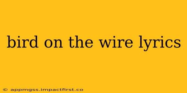 bird on the wire lyrics