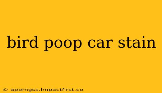 bird poop car stain