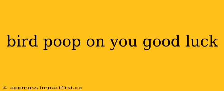 bird poop on you good luck
