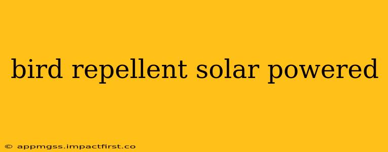 bird repellent solar powered