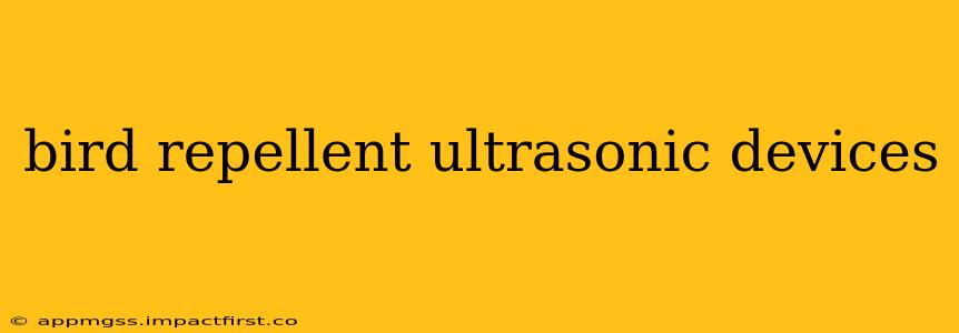 bird repellent ultrasonic devices