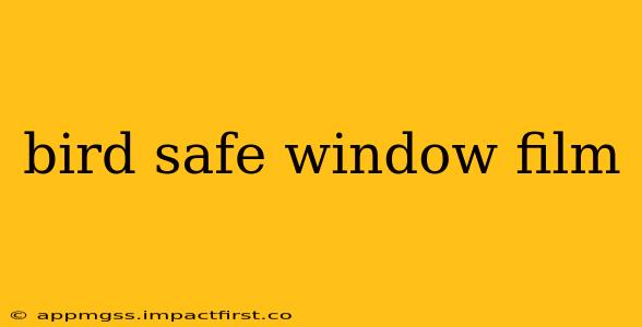 bird safe window film