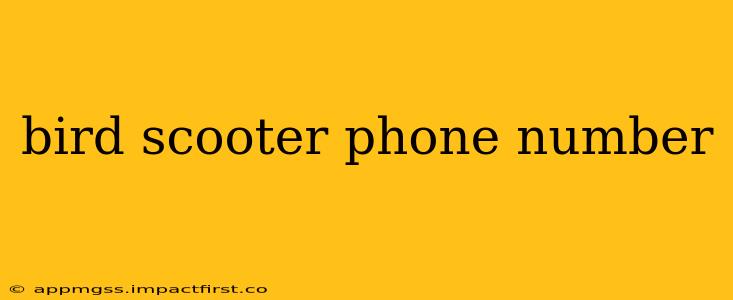 bird scooter phone number