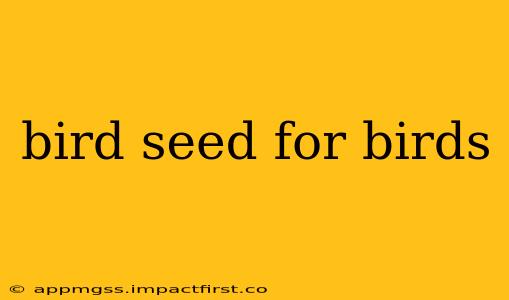 bird seed for birds