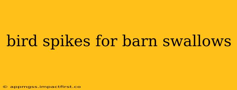 bird spikes for barn swallows