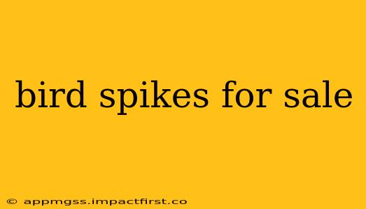 bird spikes for sale