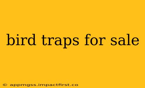 bird traps for sale