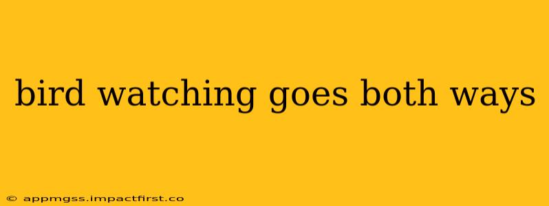 bird watching goes both ways