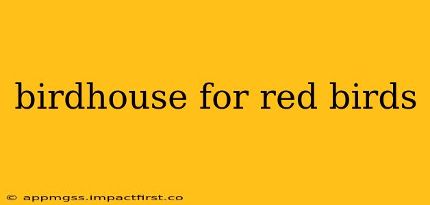 birdhouse for red birds