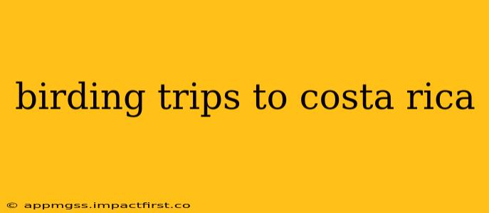 birding trips to costa rica