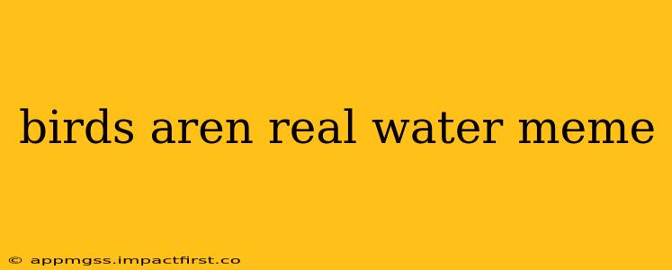 birds aren real water meme