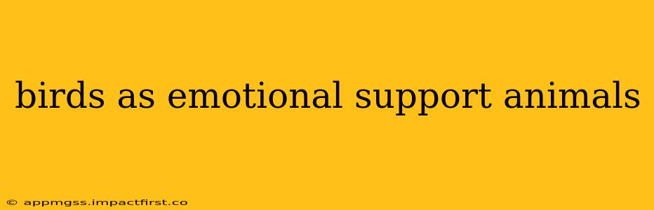 birds as emotional support animals