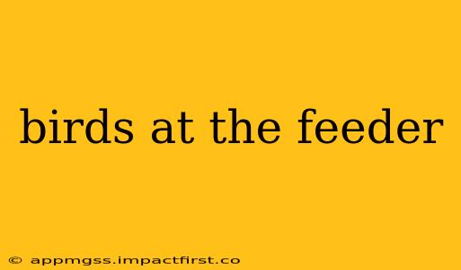birds at the feeder