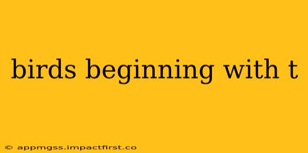 birds beginning with t