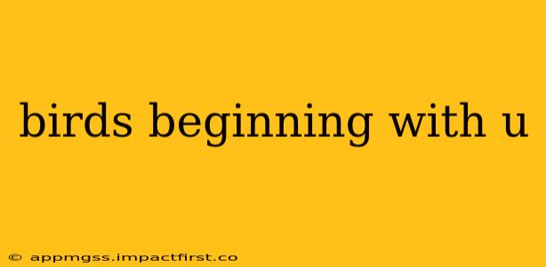birds beginning with u
