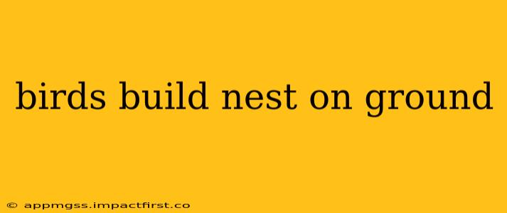 birds build nest on ground