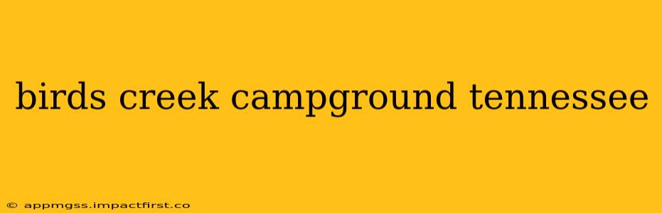 birds creek campground tennessee