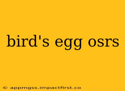bird's egg osrs