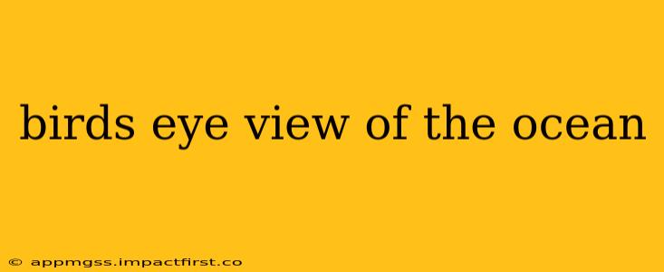 birds eye view of the ocean