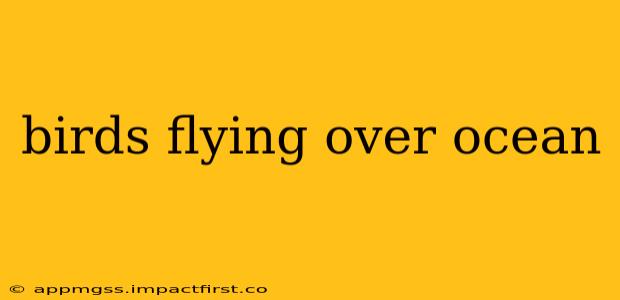 birds flying over ocean