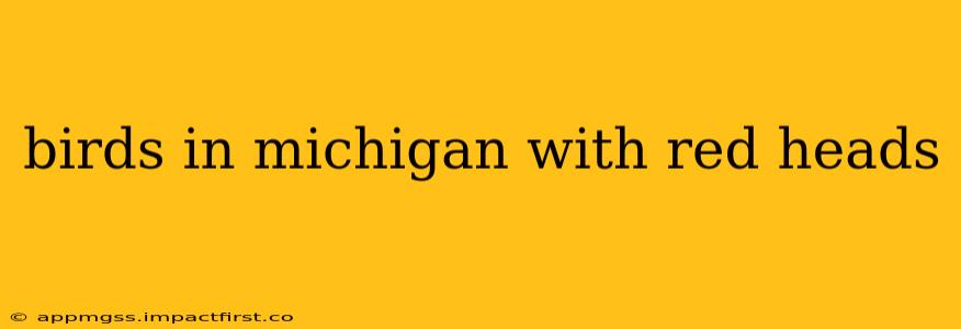 birds in michigan with red heads