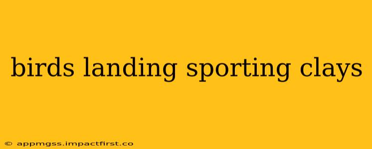 birds landing sporting clays