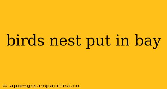 birds nest put in bay