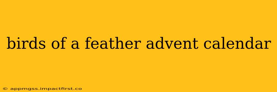 birds of a feather advent calendar