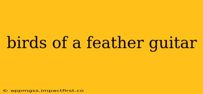 birds of a feather guitar