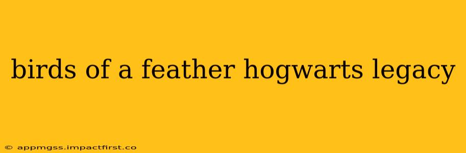 birds of a feather hogwarts legacy