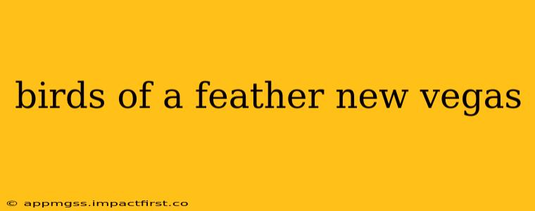 birds of a feather new vegas