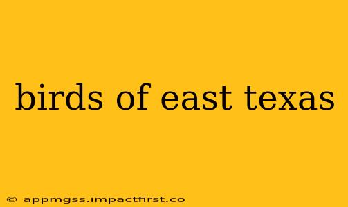 birds of east texas