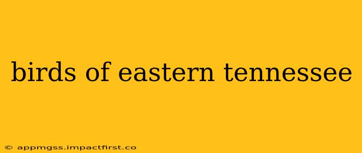 birds of eastern tennessee